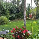 Garden At Casa Madden *