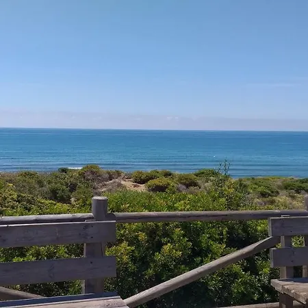 Garden At Casa Madden