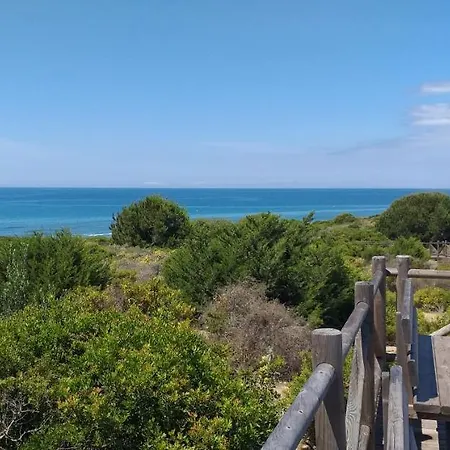 Garden At Casa Madden