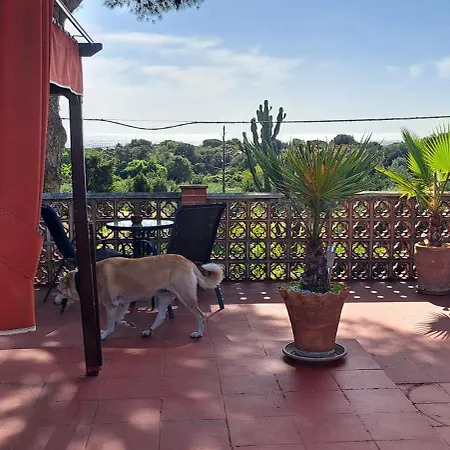 Garden At Casa Madden Lägenhet Marbella