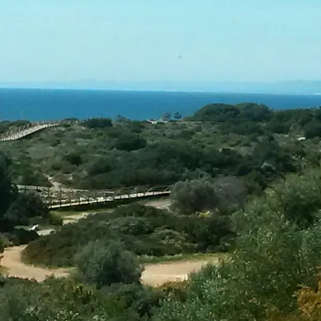 Garden At Casa Madden