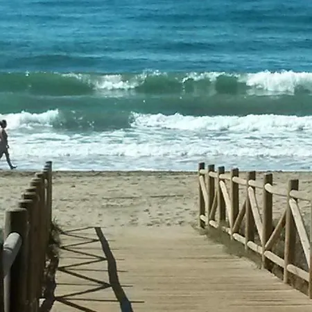 Garden At Casa Madden