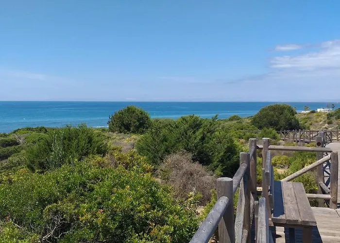 Garden At Casa Madden