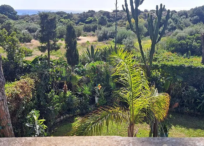 Garden At Casa Madden マルベーリャ