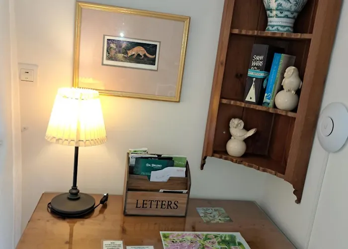 Garden At Casa Madden