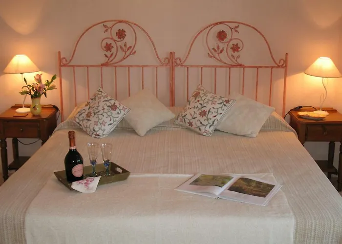 Garden At Casa Madden マルベーリャ