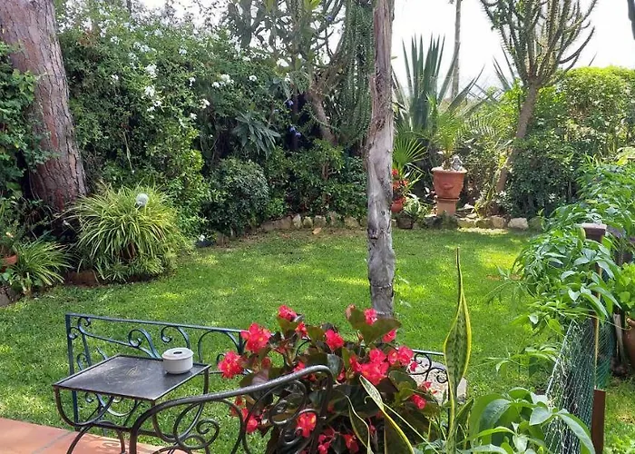 Garden At Casa Madden *