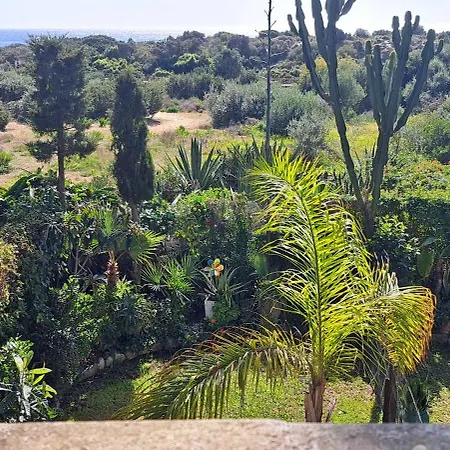 Garden At Casa Madden Марбелья