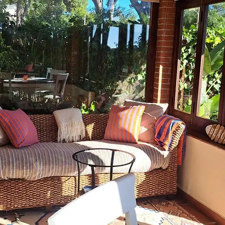 Garden At Casa Madden