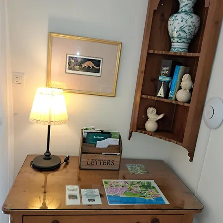 Garden At Casa Madden