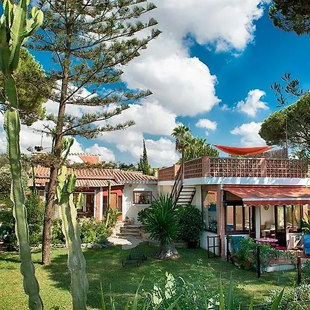 Garden At Casa Madden *