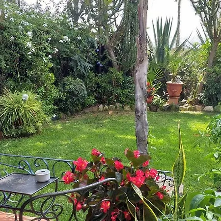 Garden At Casa Madden *