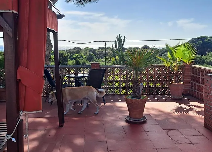 Garden At Casa Madden Apartment Marbella